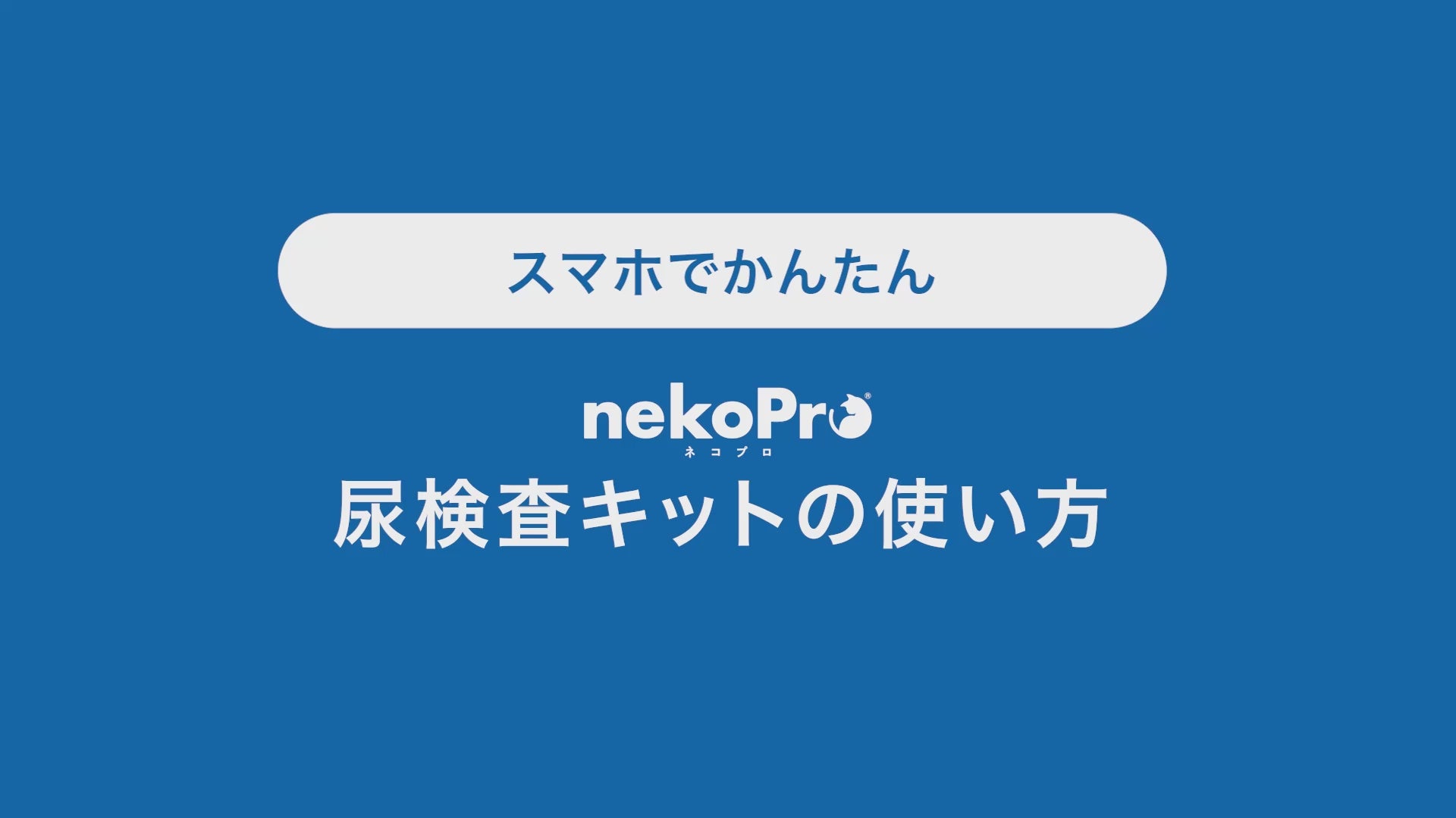 動画を読み込む: 