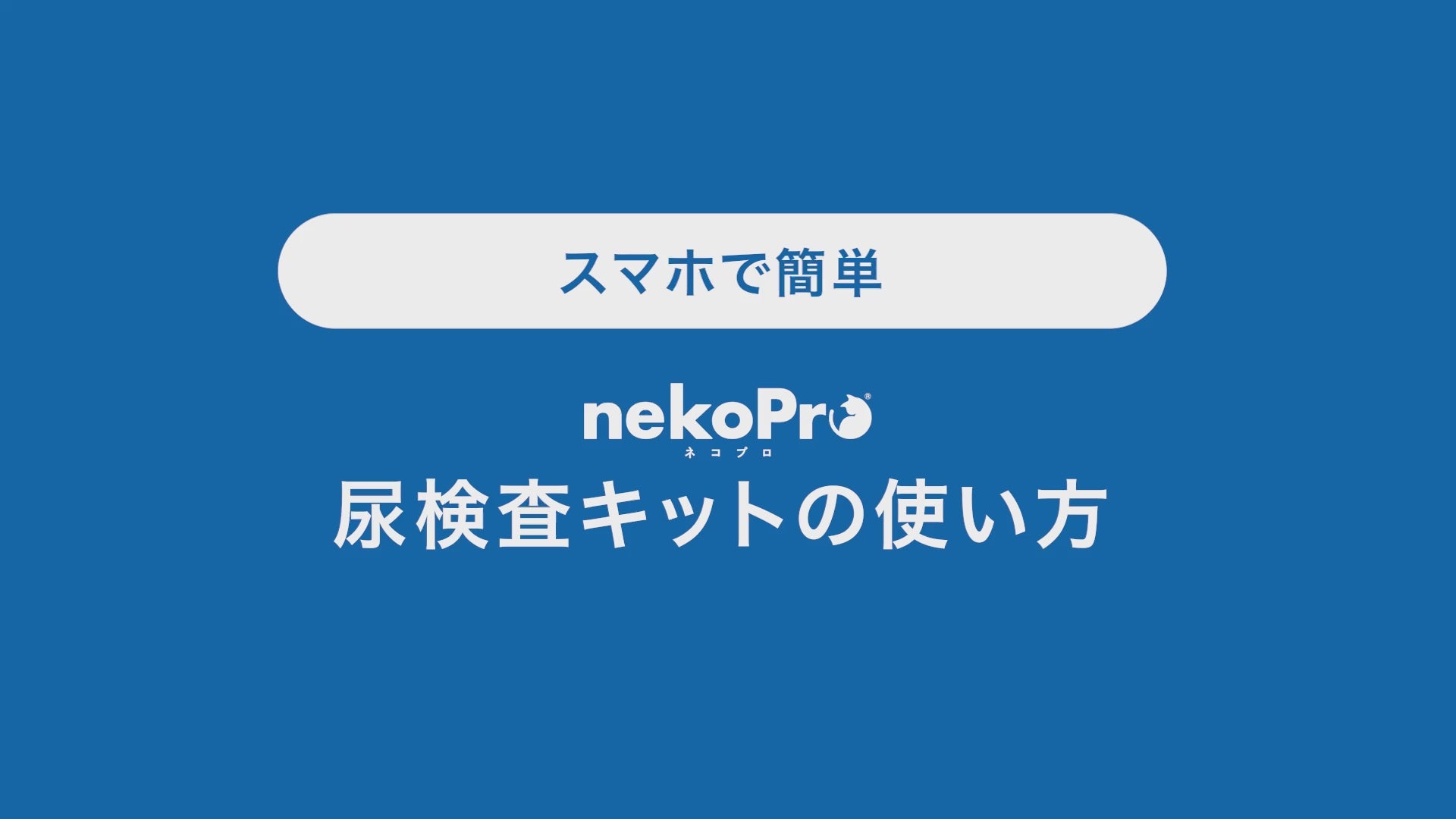 動画を読み込む: 
