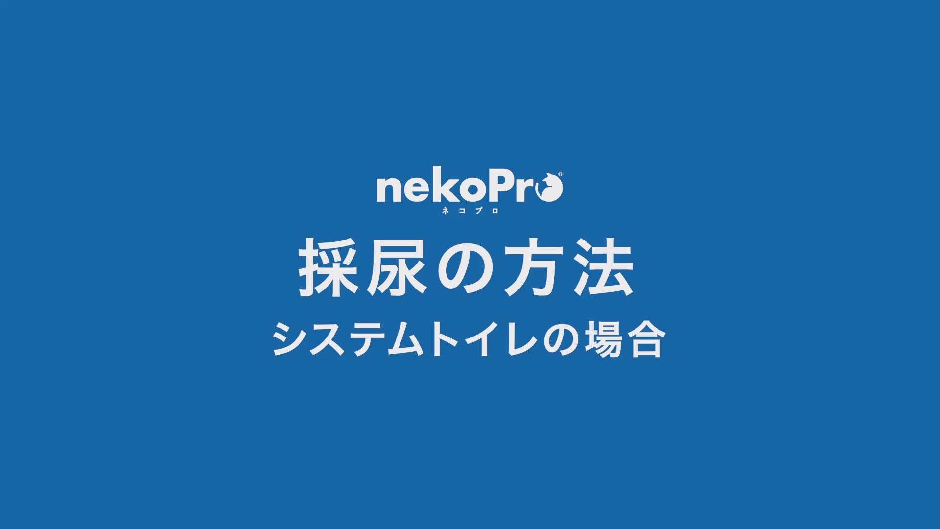 動画を読み込む: 