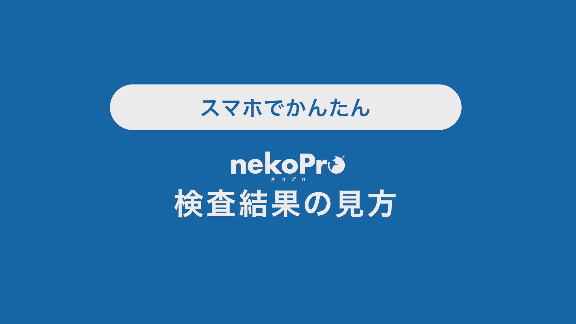 動画を読み込む: 