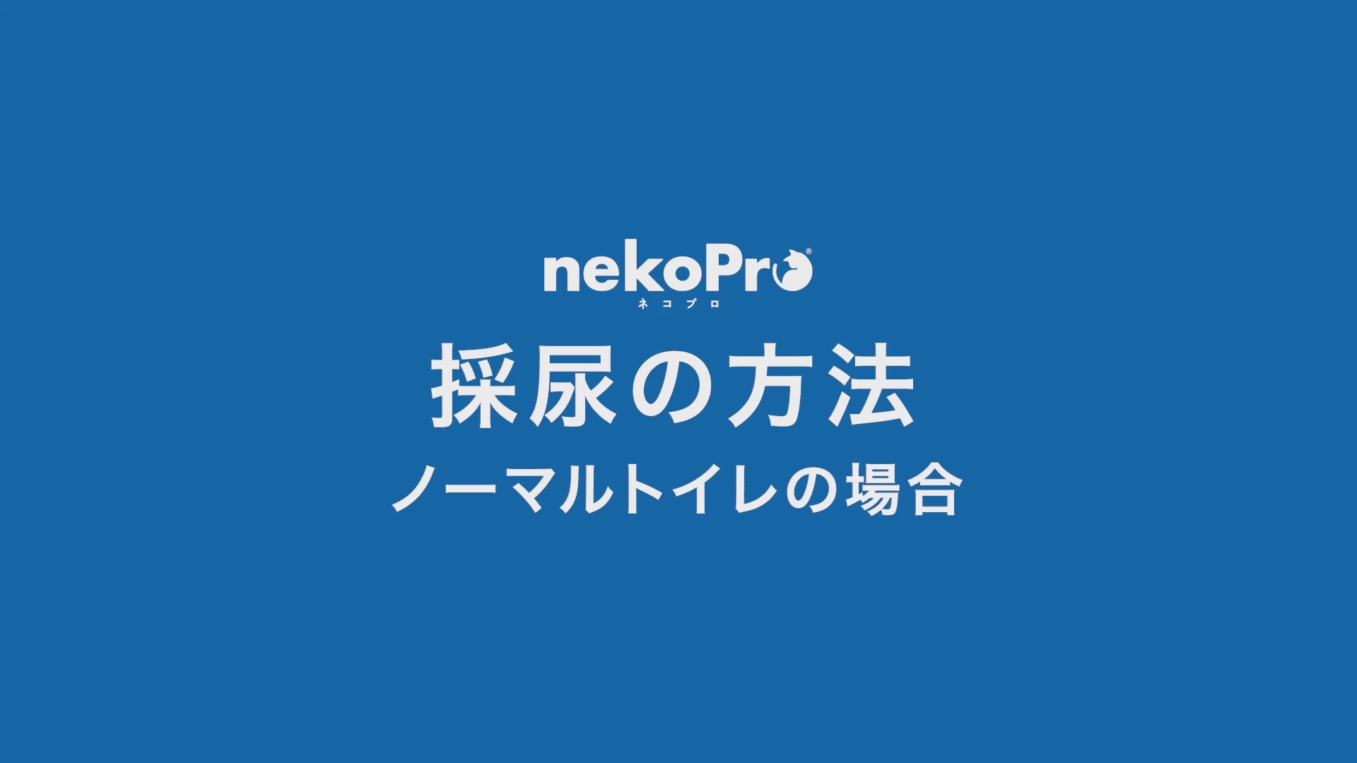 動画を読み込む: 